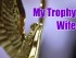 trophy eagle