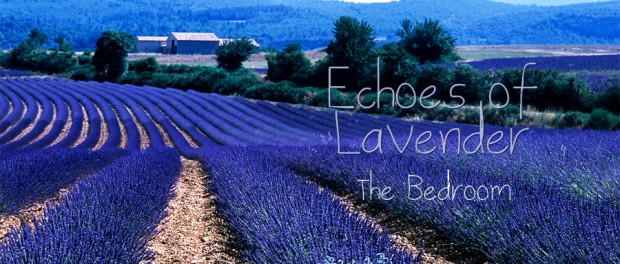 fields of lavender