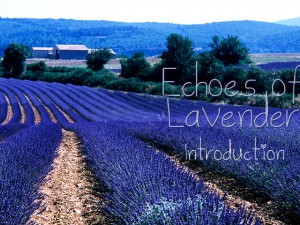 fields of lavender