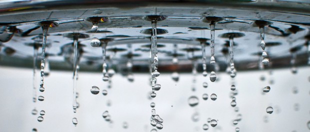 dripping showerhead