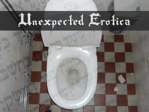 a toilet