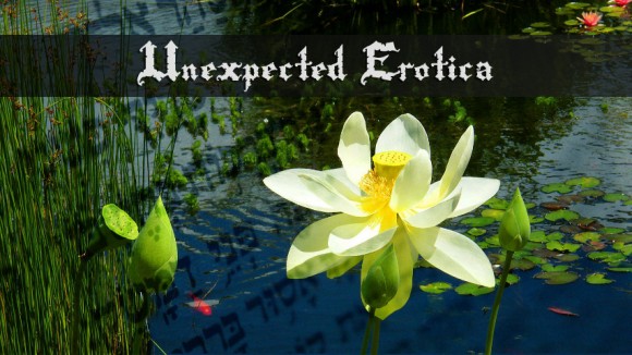 a lotus flower