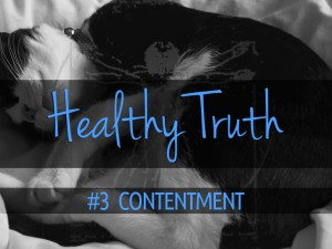 cat curled up and sleeping